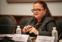 Daniela Griego se hunde a nivel nacional: reprobada en desempeño y lejanía con Xalapa