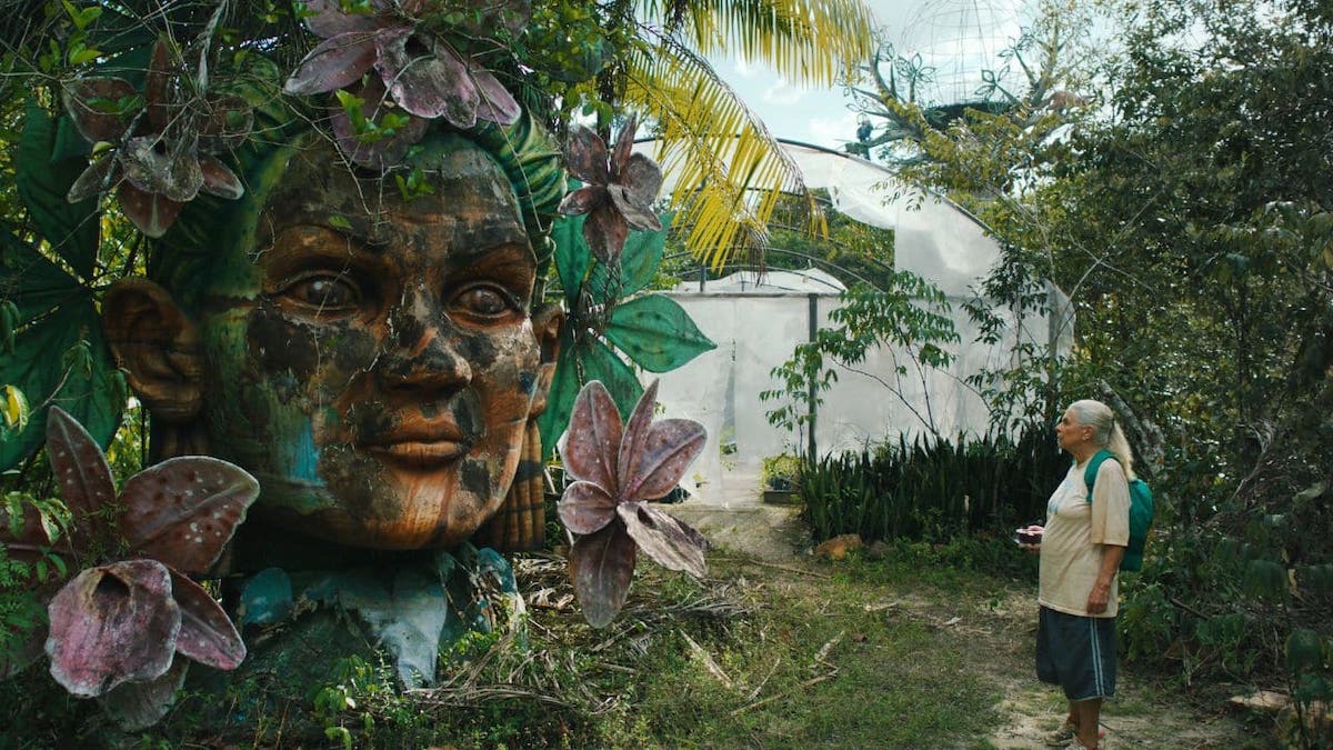 Cine aparte - ultimo azul sitio