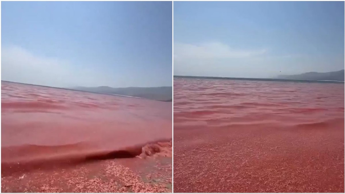 Mar Rojo