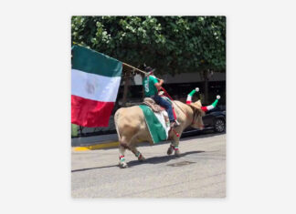 Aficionado pasea en toro para apoyar a la Selección Mexicana (VIDEO)