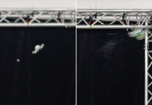 Presentan dron con IA que promete poner fin a los mosquitos (VIDEO)
