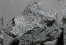 Meteorito que cayó en una casa de Nueva Jersey revela secretos sobre el origen de la vida en la Tierra
