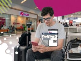 Viajar en autobús con tu mascota en México: qué líneas lo permiten y qué requisitos tienen