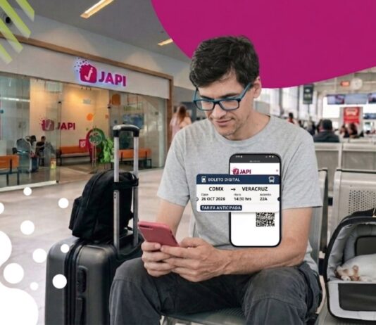 Viajar en autobús con tu mascota en México: qué líneas lo permiten y qué requisitos tienen