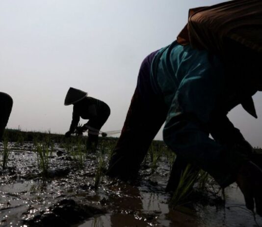 Fenómeno de El Niño afectaría al empleo formal y reducir los ingresos en Latinoamérica