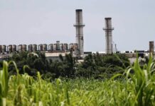 Crisis azucarera en Veracruz: Cierre del Ingenio San Pedro enciende alarmas agroindustriales