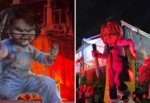Fiebre por ‘Chucky’ en la CDMX: del fenómeno viral al clausurado vecinal (VIDEO)