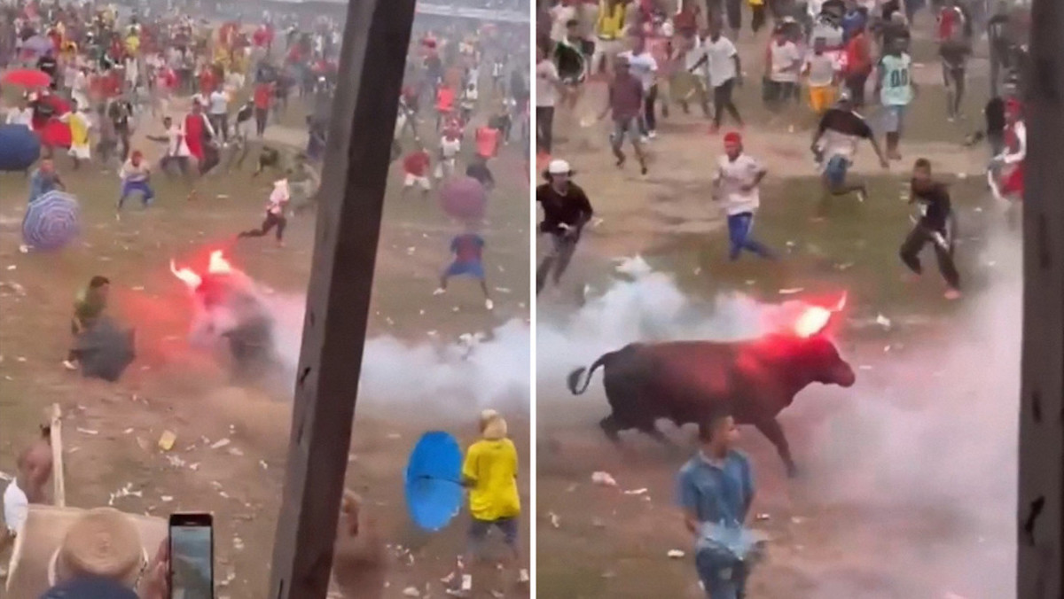 Toro