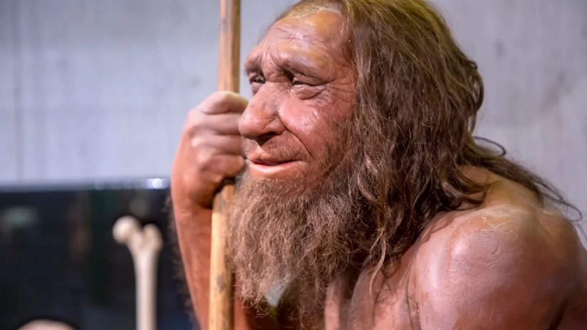neandertal